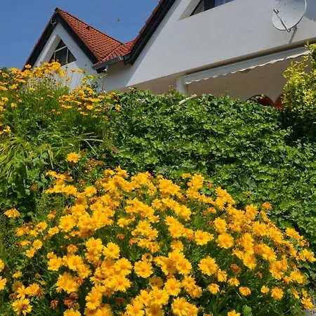 Ezuesthid Guest house
