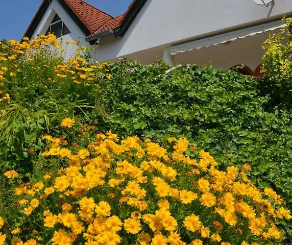 Ezuesthid בית הארחה